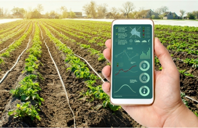 Digitalisation of FPCs – Techpowering Agriculture to Strengthen Farmer Potential | FarmERP