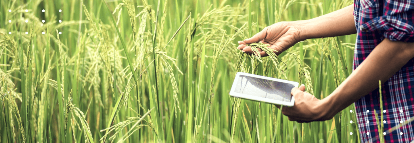 Agricultural Data Collection: Understanding Agritech’s Role in ...