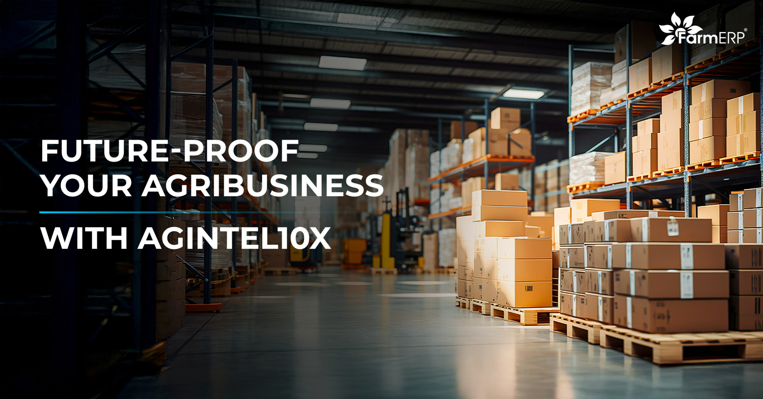 5 Agribusiness Warehouse Packaging Challenges and How We Fix Them
