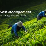 Post-Harvest Management