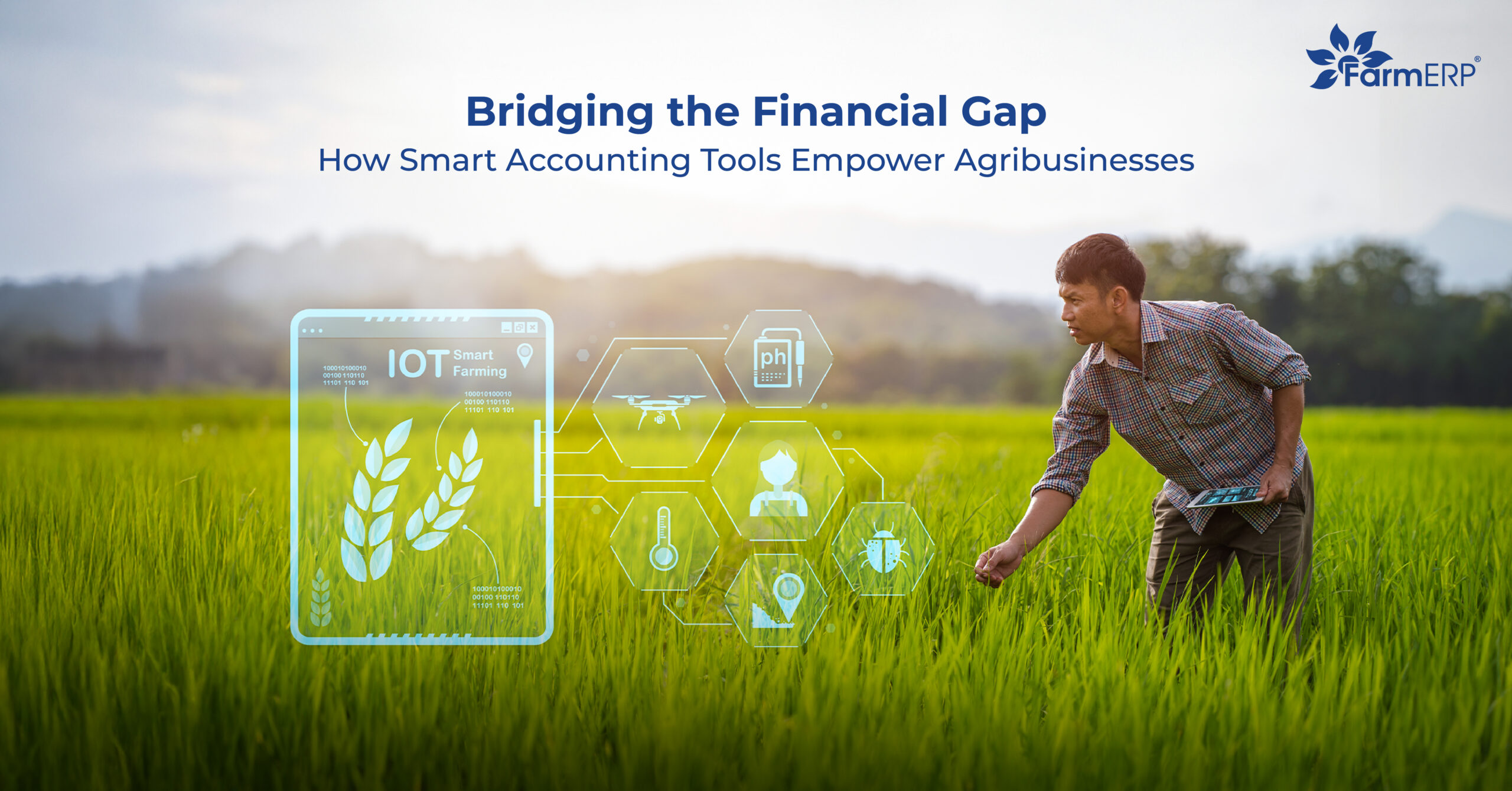 Smart Accounting Tools for Agribusiness: How to Choose the Right Software