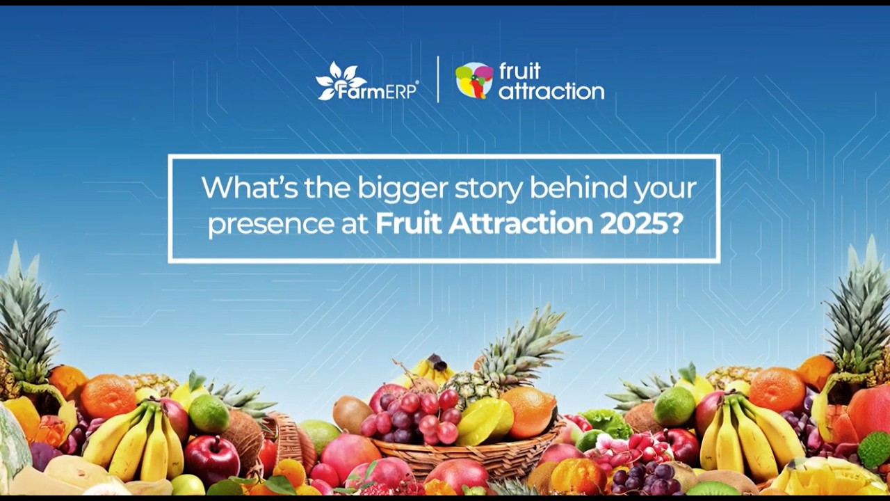 Harvest time on our fruit farm